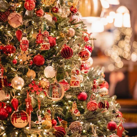 La Maison Centre Miluza