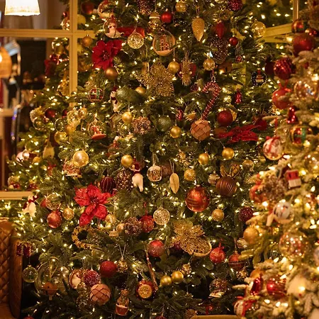 La Maison Centre Hotell 3*